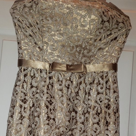 Cache Strapless Gold Midi Embroidered Dress - Picture 9 of 10